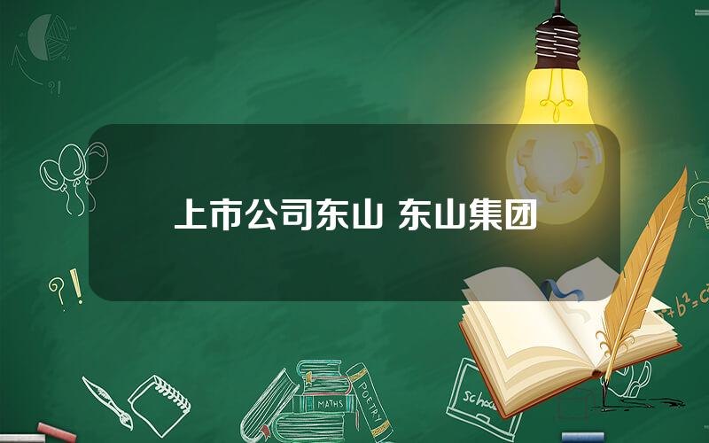 上市公司东山 东山集团